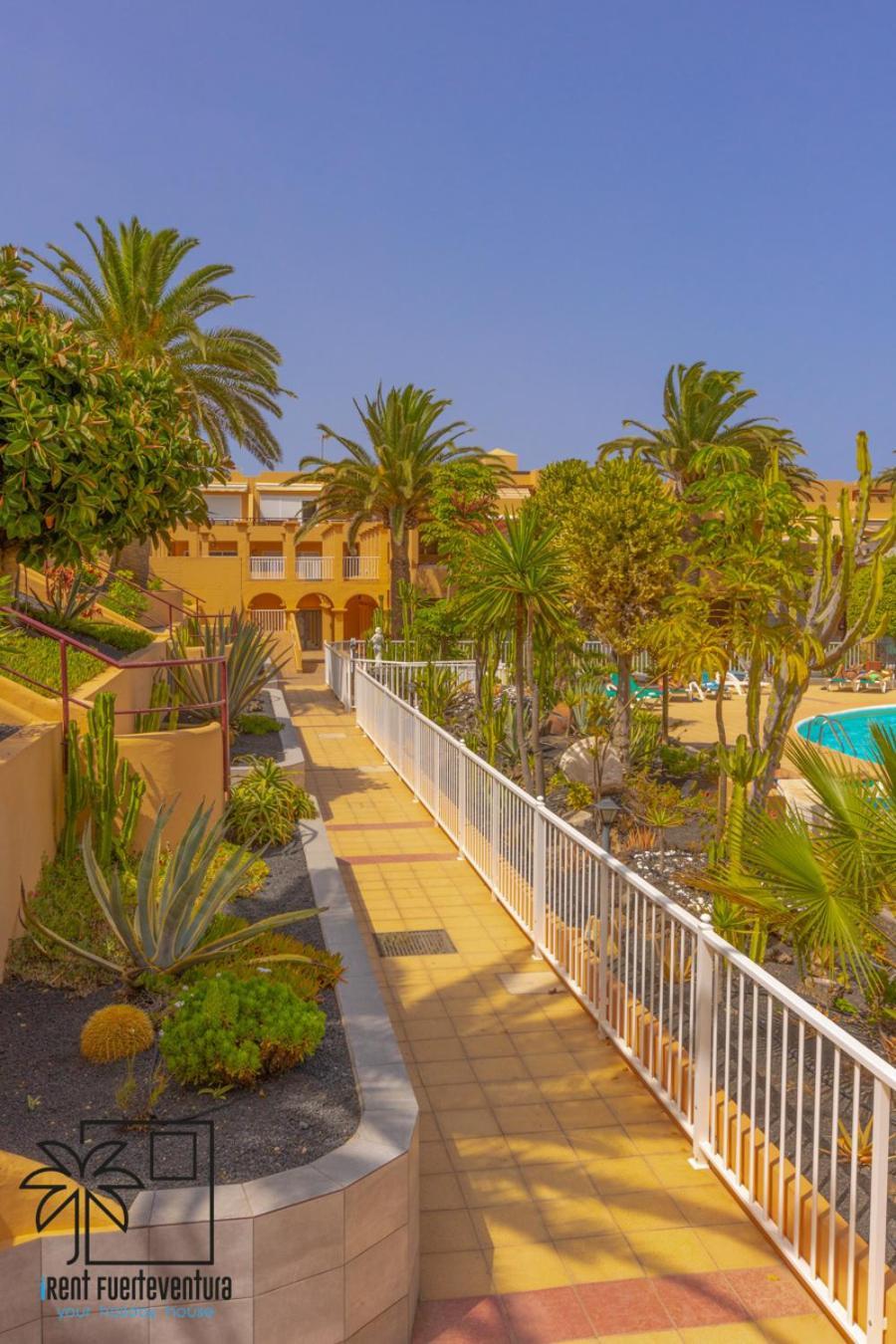 Appartamento Hola Bent Pool And Terrace Irent Fuerteventura Corralejo Esterno foto